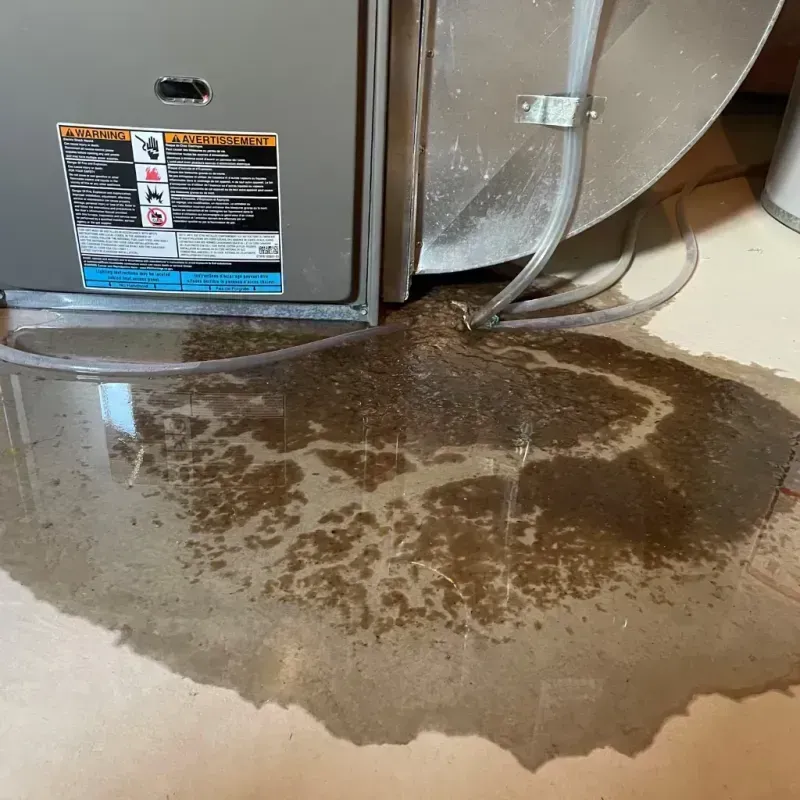 Appliance Leak Cleanup in Trotwood, OH